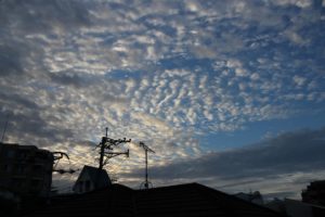 自然光をよく見て撮影しよう